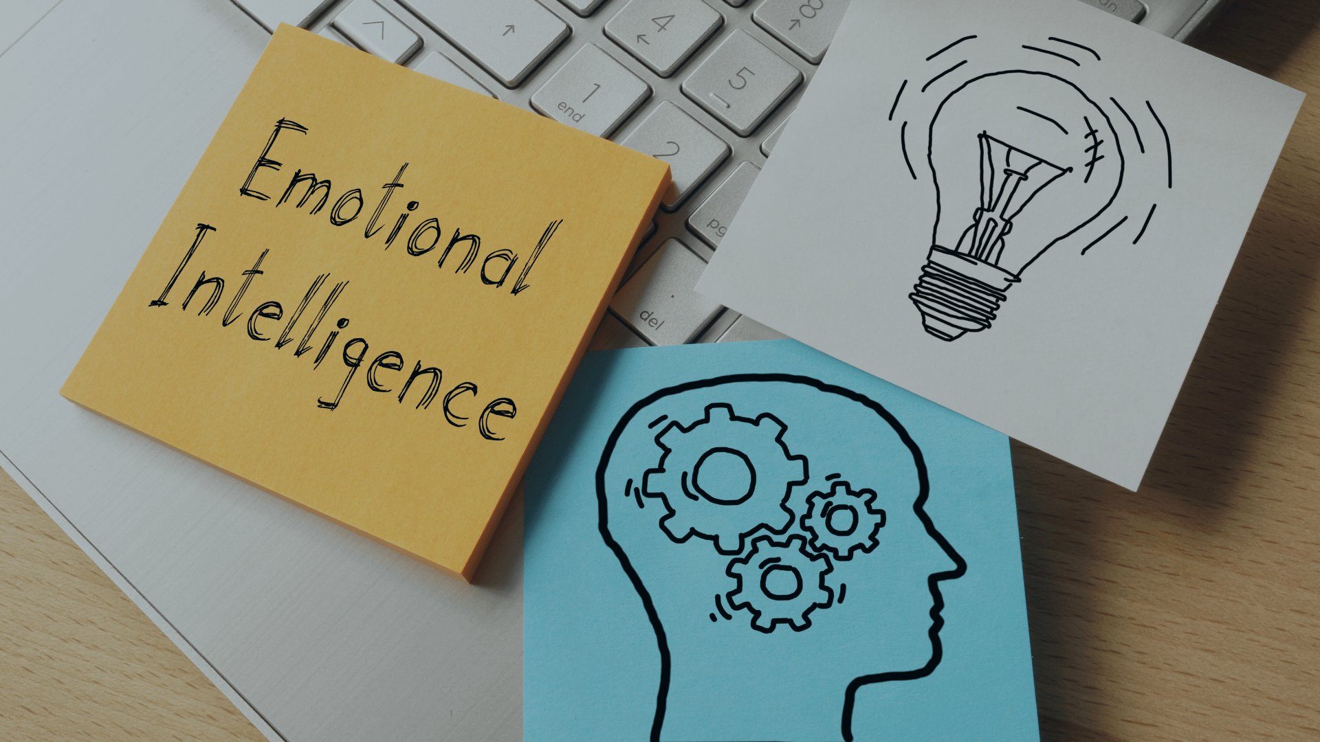 Gestão emocional na docência